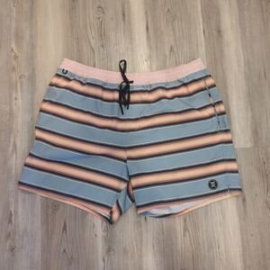 Roark Revival Retro Hemp Stripe Pool Ocean Board Shorts Swim Trunks Mens L 34x6